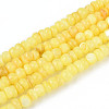 Natural Freshwater Shell Dyed Beads Strands SHEL-T020-29A-09-1