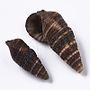 Natural Spiral Shell Beads SSHEL-S258-92-3