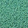 MIYUKI Delica Beads SEED-MY11-DB2053-3