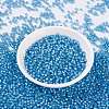 MIYUKI Round Rocailles Beads X-SEED-G007-RR0573-2