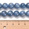 Natural Kyanite Beads Strands G-C259-B01-10mm-01-5