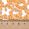 Glass Seed Beads SEED-L011-04A-06-4