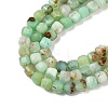 Natural Chrysoprase Beads Strands G-G140-C07-02A-3