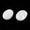 Natural Freshwater Shell Cabochons SHEL-T020-04-2