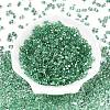 Baking Paint Transparent Glass Seed Beads SEED-N006-05J-2