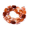Natural Agate Beads Strands G-N356-03A-16-3