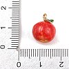 Fruit Alloy Enamel Charms LS-ENAM-P264-02C-G01-4