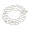 Electroplated Shell Pearl Beads Strands BSHE-G027-13A-3