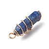 2Pcs 2 Styles Natural Lapis Lazuli Double Terminated Pointed Pendants PALLOY-JF03122-04-5