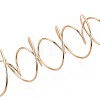 201 Stainless Steel Plant Hangers STAS-N120-02G-2