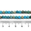 Dyed Natural Regalite/Imperial Jasper/Sea Sediment Jasper Beads Strands G-B124-C04-10-4