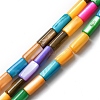 Natural Freshwater Shell Dyed Beads Strands SHEL-R129-04-1