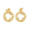 Brass Micro Pave Cubic Zirconia Charms KK-F927-25G-1