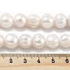 Natural Cultured Freshwater Pearl Beads Strands PEAR-C003-21B-5