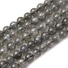 Natural Labradorite Beads Strands G-H326-01-6mm-2