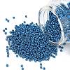 MIYUKI Round Rocailles Beads X-SEED-G007-RR5116-1