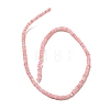 Dyed Natural Freshwater Shell Beads Strands BSHE-G039-07D-2