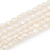 Natural Cultured Freshwater Pearl Beads Strands PEAR-P064-20F-02A-2