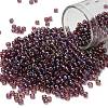 TOHO 8/0 Round Beads X-SEED-TR08-0166B-1