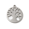 Non-Tarnish 201 Stainless Steel Pendants STAS-E206-03P-02-1