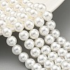 Glass Pearl Beads Strands HY-G002-01D-01-2