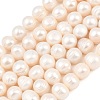Natural Cultured Freshwater Pearl Beads Strands PEAR-D003-01C-05-2