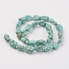 Natural Green Turquoise Beads Strands G-N0312-01-3