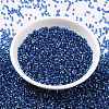 Cylinder Seed Beads SEED-H001-G12-3