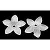 Transparent Frosted Acrylic Flower Beads X-PAB1936Y-10-1