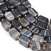 Natural Botswana Agate Beads Strands G-P611-A01-02-4
