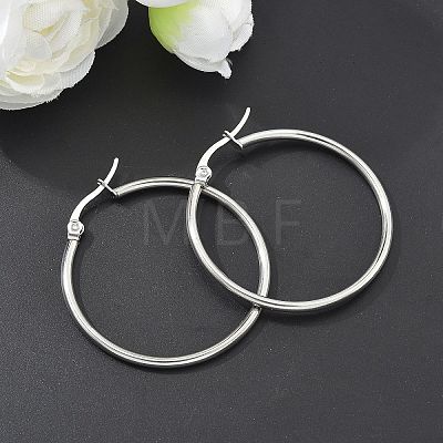 Tarnish Resistant 304 Stainless Steel Hoop Earrings EJEW-F105-08P-1