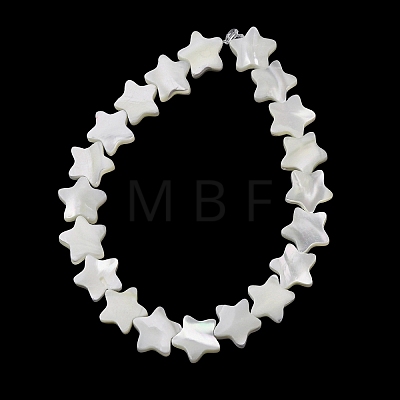 Natural Trochid Shell/Trochus Shell Beads Strands SH-CBA2978-17B-1