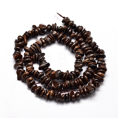 Natural Bronzite Chip Beads Strands X-G-E271-127-1