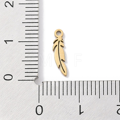 304 Stainless Steel Charms STAS-K286-01G-G-1