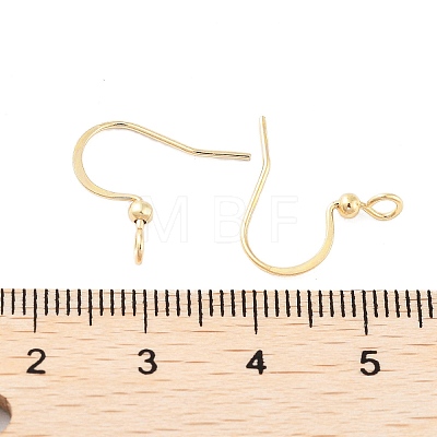 316 Surgical Stainless Steel Earring Hooks X-STAS-K274-10G-1