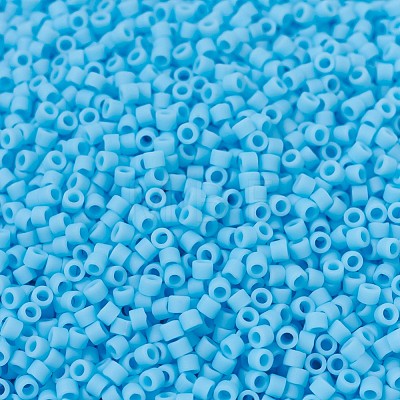 MIYUKI Delica Beads X-SEED-J020-DB0755-1