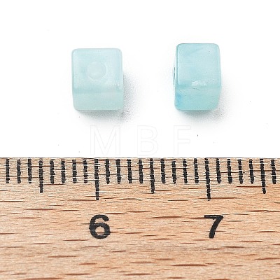 Transparent Acrylic Beads OACR-H044-04A-02-1