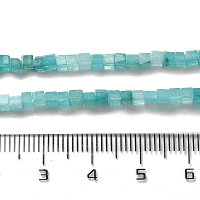 Natural Amazonite Beads Strands G-B064-A05-1