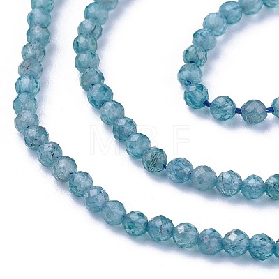 Natural Apatite Beads Strands X-G-F619-13A-3mm-1