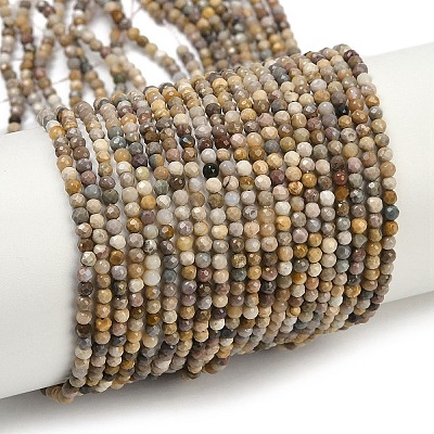 Natural Alashan Agate Beads Strands G-C181-B05-01-1