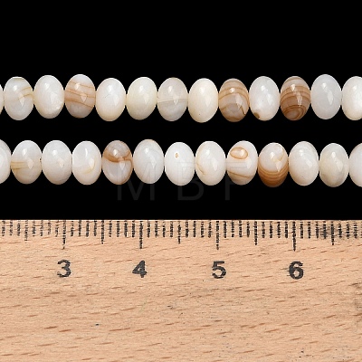 Natural Freshwater Shell Beads Strands SHEL-C010-04A-01-1