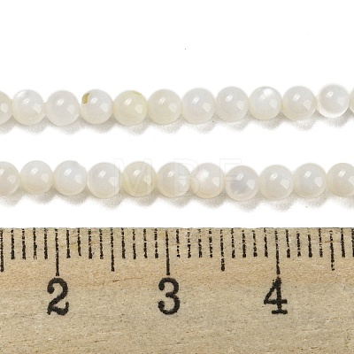 Natural Freshwater Shell Beads Strands BSHE-Z005-02-1