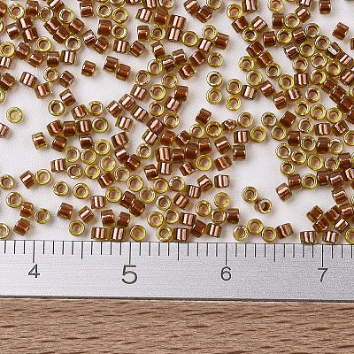 MIYUKI Delica Beads SEED-X0054-DB1703-1