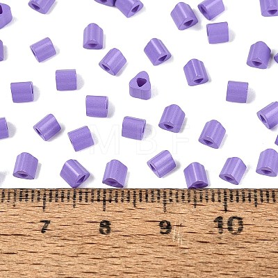 FGB Baking Paint Glass Seed Beads SEED-Q040-09A-16-1