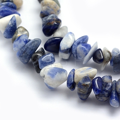 Natural Sodalite Beads Strands X-G-P332-21-1