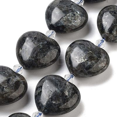 Natural Larvikite Beads Strands G-C150-A15-01-1