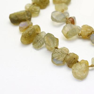 Natural Labradorite Beads Strands G-K202-11B-1