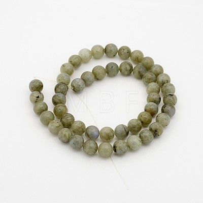Natural Labradorite Round Beads Strands G-N0148-05-10mm-1