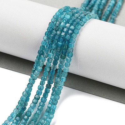 Natural Blue Apatit Beads Strands G-H042-B12-01B-1