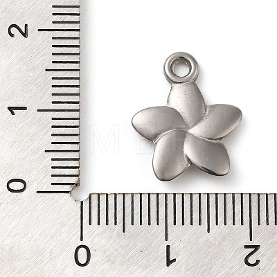 304 Stainless Steel Pendants STAS-M070-05P-1